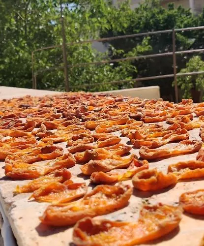 فندق Sarnich Cave